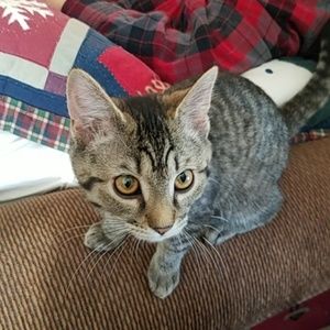 Meet your Posher, Casey